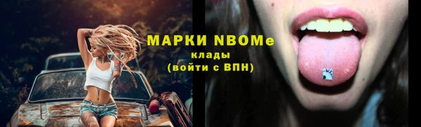 тгк Пестово