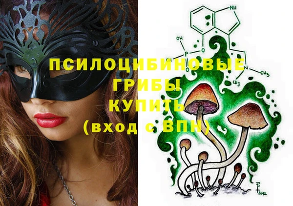 скорость Няндома