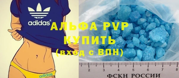 шишки Пересвет