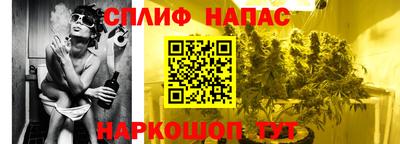 стафф Краснодар
