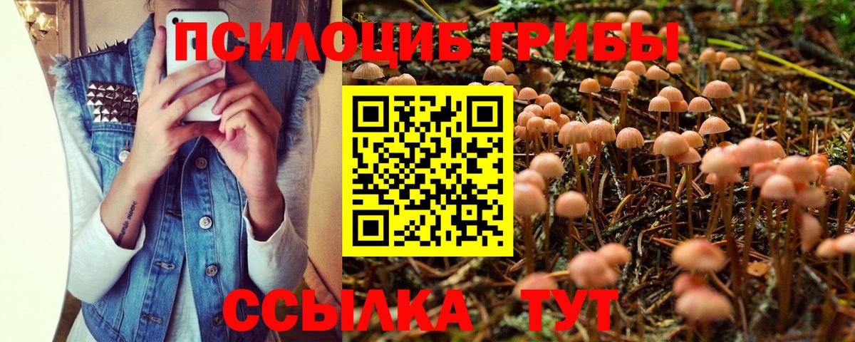 Псилоцибиновые грибы мухоморы Кулебаки