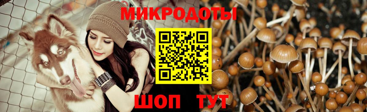 Кулебаки  Галлюциногенные грибы Psilocybine cubensis  Вход с VPN  Галлюциногенные грибы Magic Shrooms 